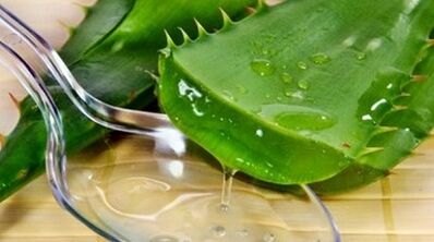 Aloe, um die Macht der Männer zu erhöhen